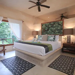 https://cachito-de-cielo.quintano-roohotels.com